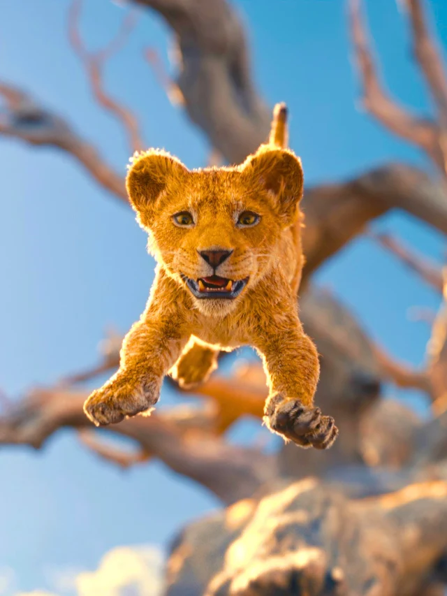 Shahrukh Khan and Aryan Abram will dub The Lion King in Hindi